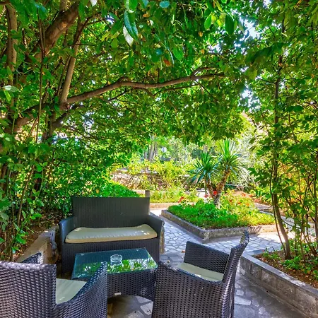 招待所 Sobe Frano I Lovro Ck 3*